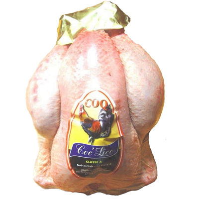coq lico, haan (echte)