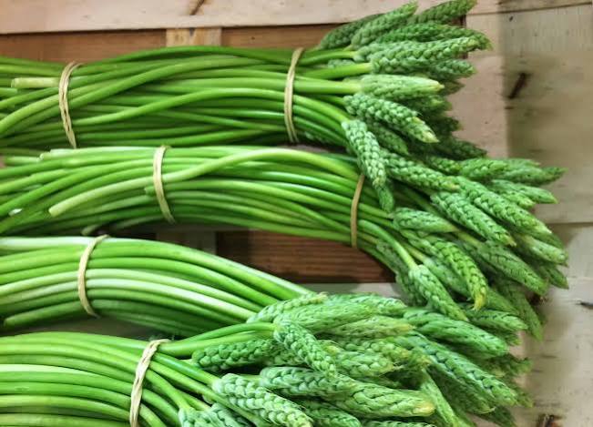 Korenhalm Asperges