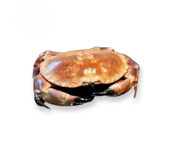 Krab, op z'n geheel