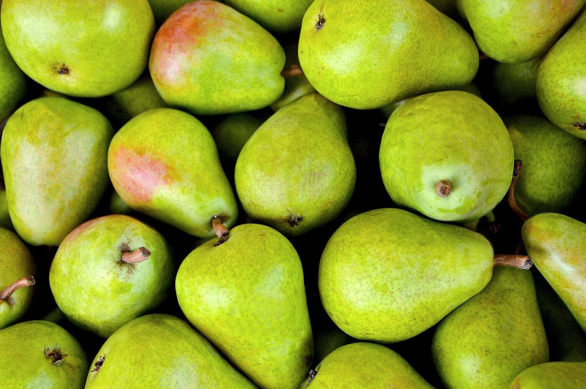Peren Doyenné du Comice