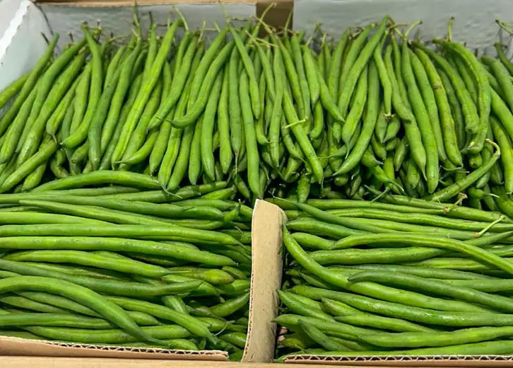 Princessen, Fijne boontjes/ kenya