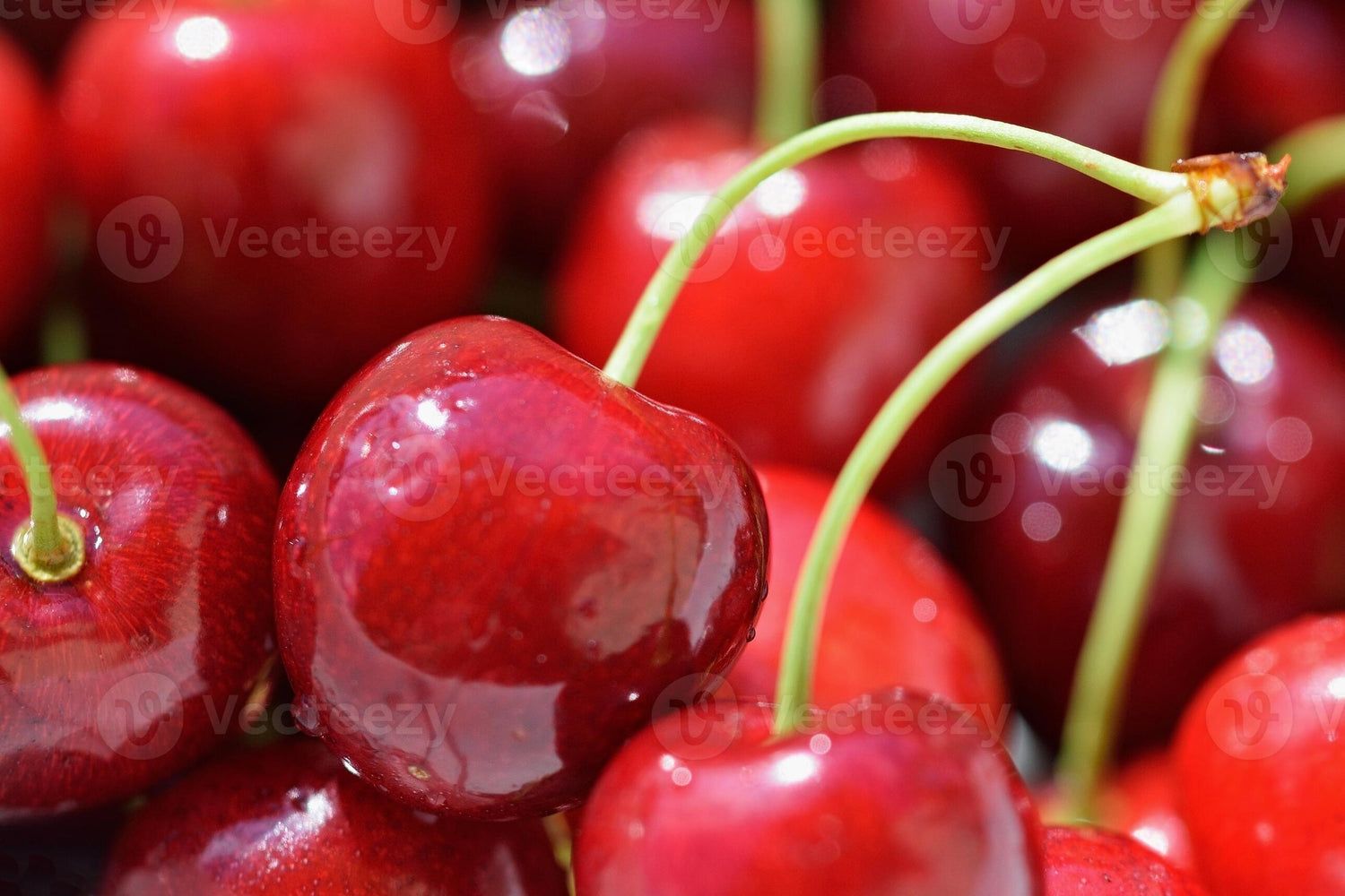 Fruit
