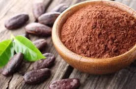Cacao poudre "aromatico" 10-12% matière grasse