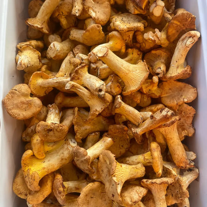 girolles, clou