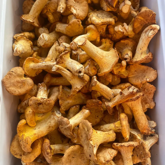 girolles, clou