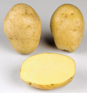 Aardappelen, Marabel