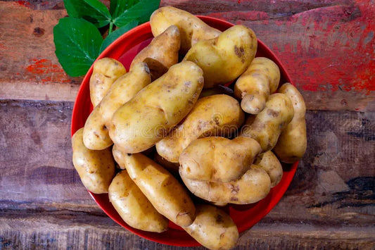 Aardappelen, Rattes De Touquet, Groot