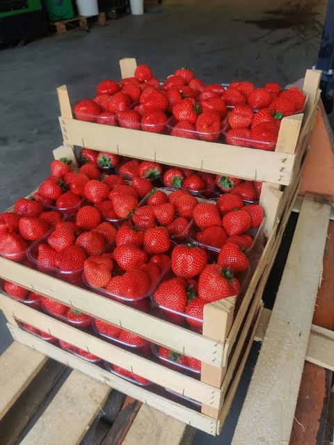 Aardbeien