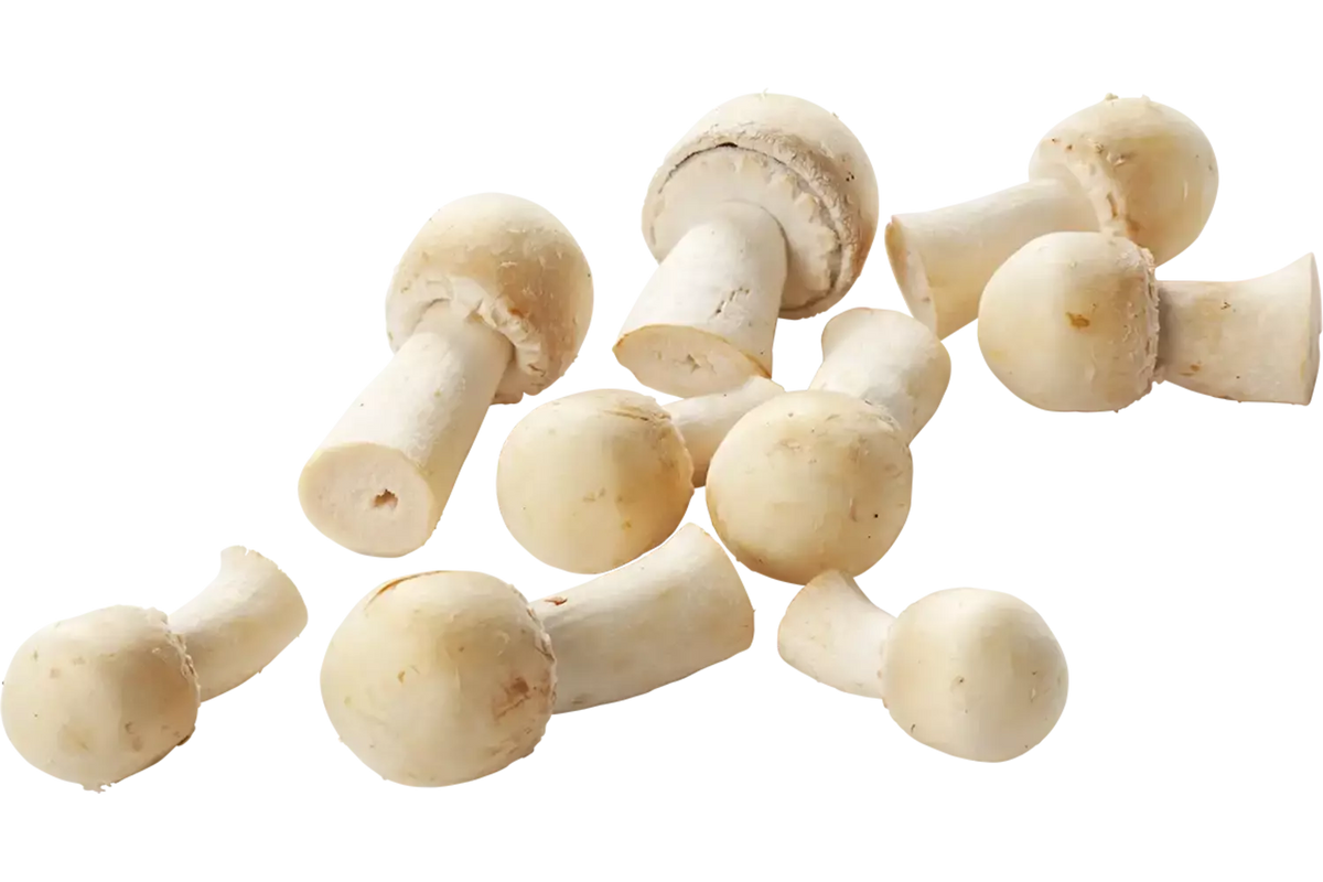 Champignons, Anijs