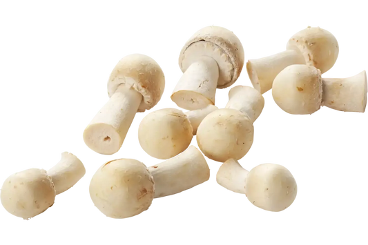 Champignons, Anijs