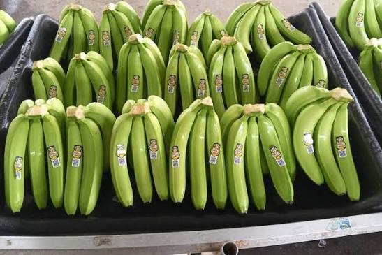 Banaan equateur