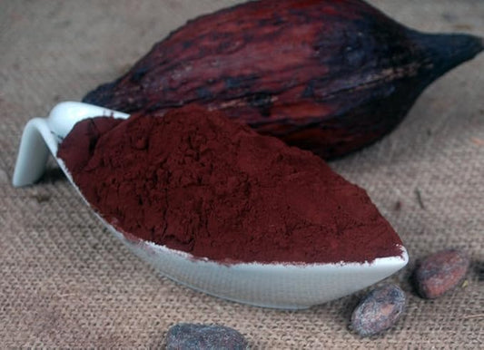 Cacao poudre "aromatico" 22-24% matière grasse