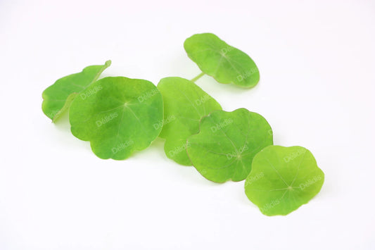 capucijnblad