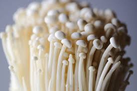 Champignons, Chinese, Enoki