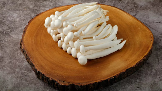 champignon, shimeji