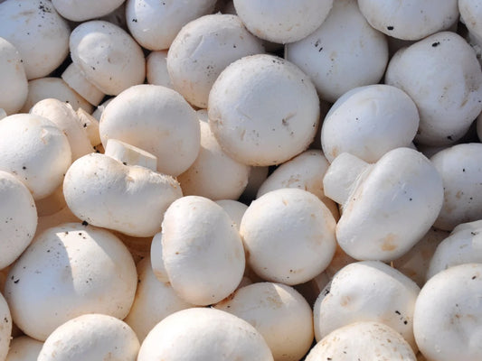 Champignons, "De Paris"