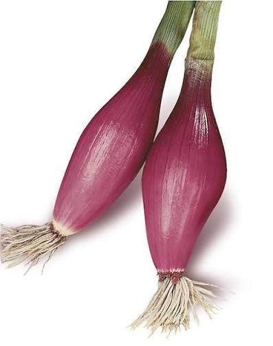 cipolla, rosso di tropea