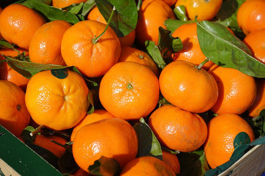 succo biologico di mandarino siciliana/ siciliaans biologisch mandarijnensap