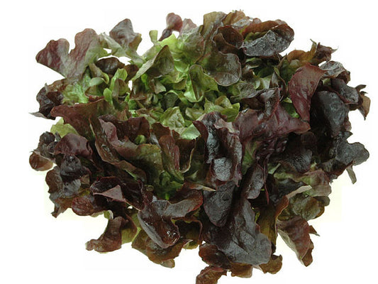 Salade, Eikebladsla
