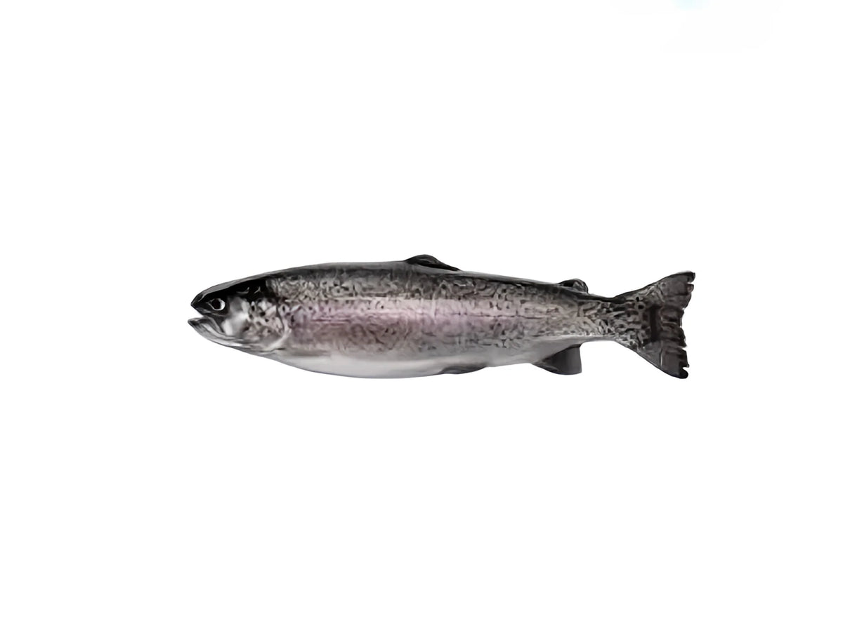 Forel