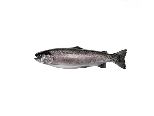 Forel