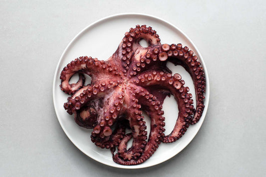 Pulpo Octopus