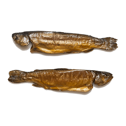 Gerookte Forel