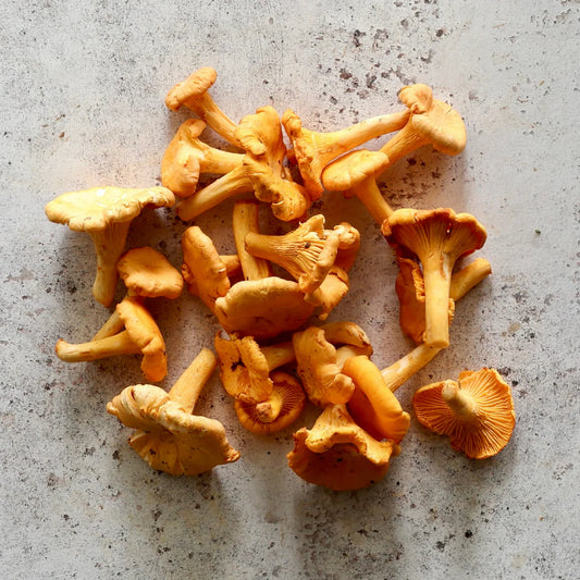 Girolles