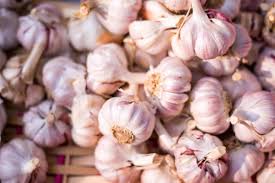 Knoflook