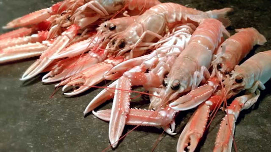 Langoustines, 40/50, Stuks / Noorse Kreeftjes