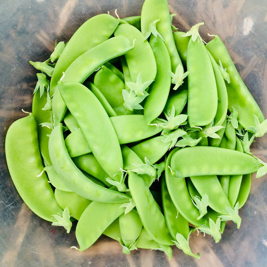 Mange-Tout