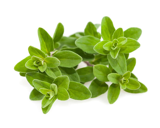 Marjolein