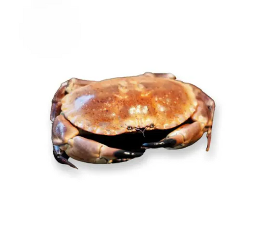 Krab, op z'n geheel