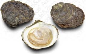 Oesters, Platte