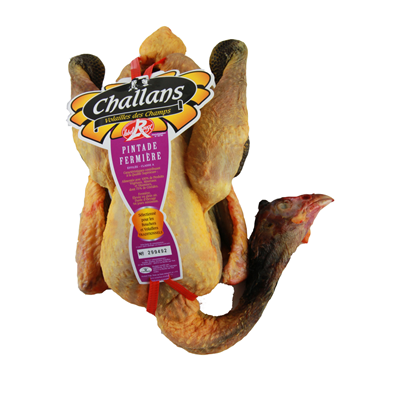 pintade fermier éffilée, label rouge IGP, challons