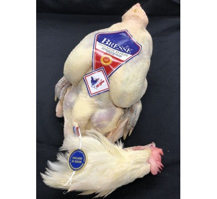 poularde éffilé AOP bresse