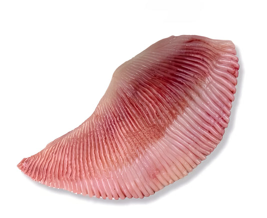 Roggevleugel
