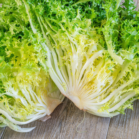 Salade, Frissee