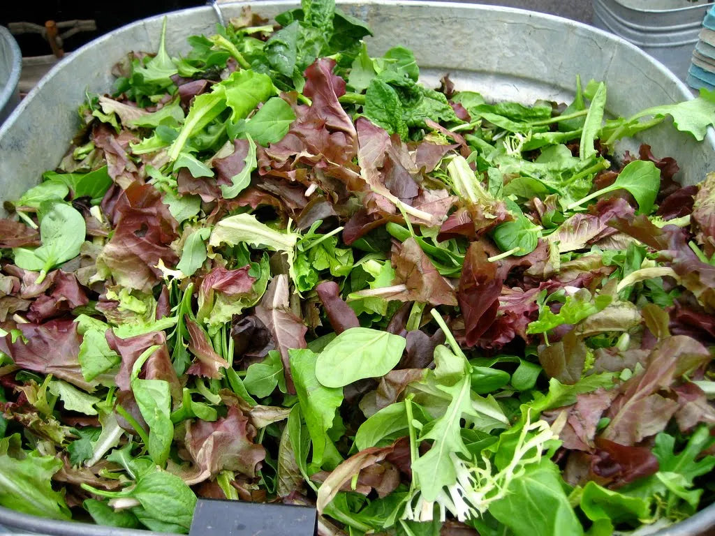 Salade, Mesclun