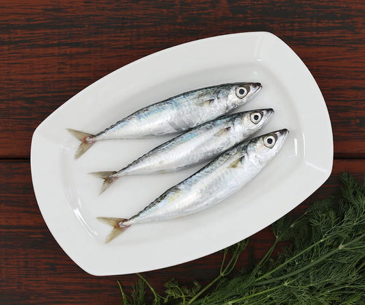 Sardine