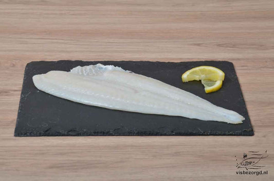 Pladijsfilet/Scholfilet