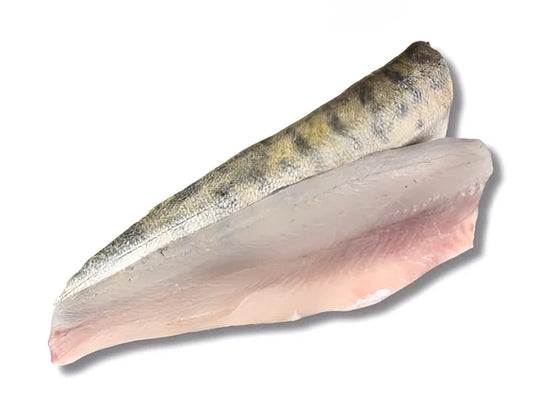 Snoekbaarsfilet met vel/wild