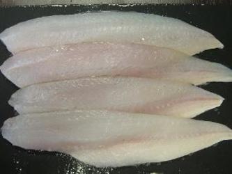 Tacaudfilet