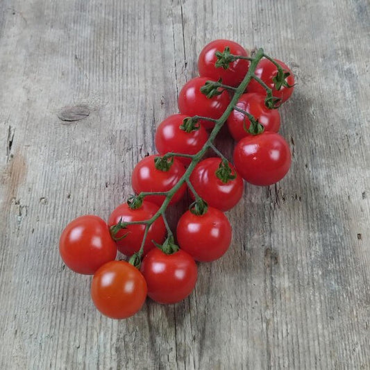 Tomaat, Kers, Italiaanse