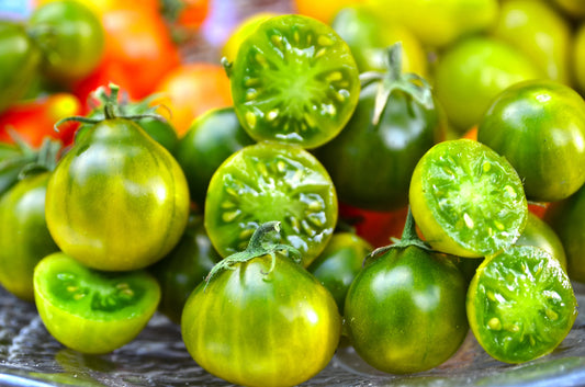 Tomaat, Kersentomaat,  Groen -Zwart