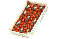 Tomaten, grappe, 3,5,  tros, rabelais