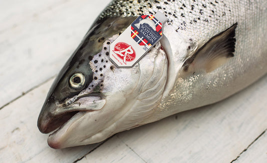 Zalm, Schotse, Geheel, 4/5, Label Rouge