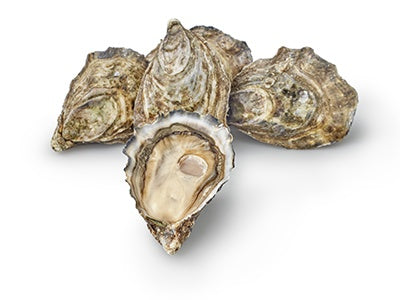 Oesters, Creuses, Zeeuwse