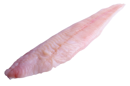 Zeewolffilets